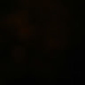 Meet your Posher, Bobbi